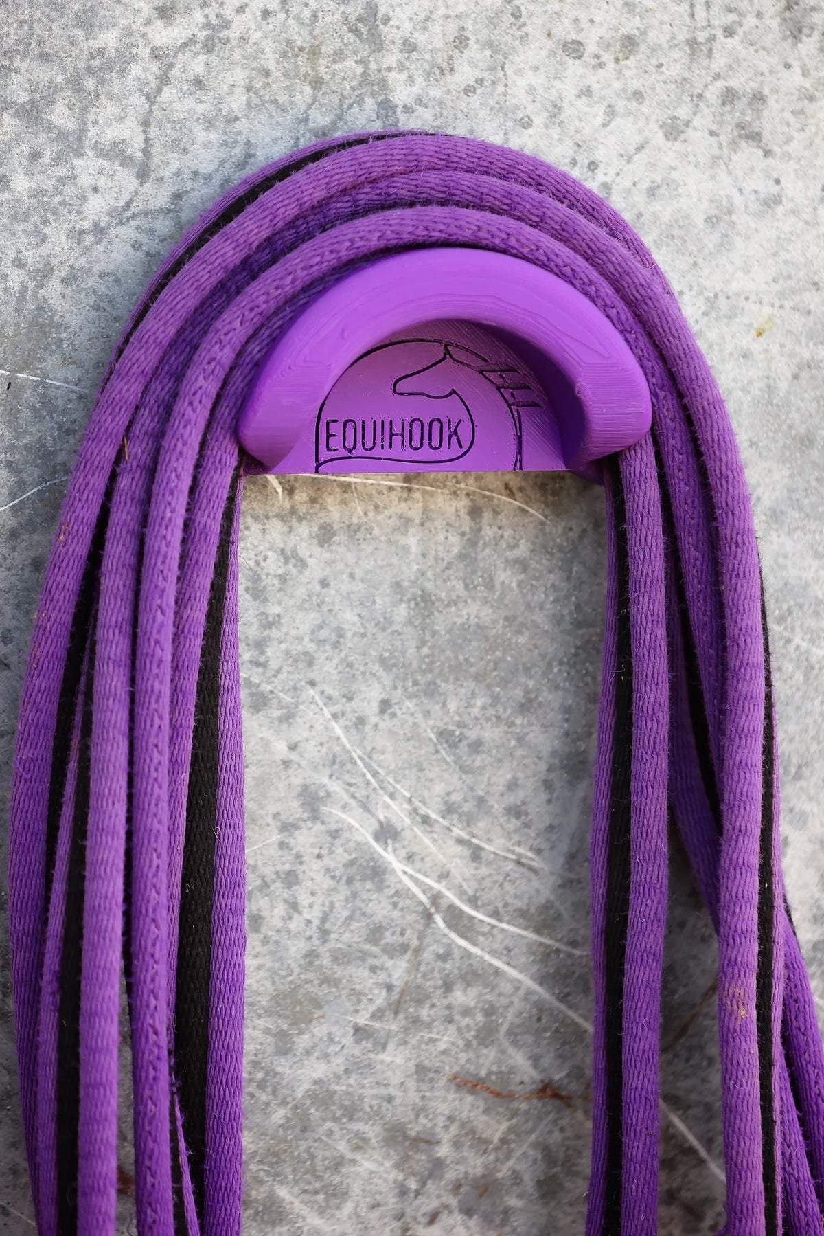 EquiHook - Magnetic Bridle, Halter, Rope Holder