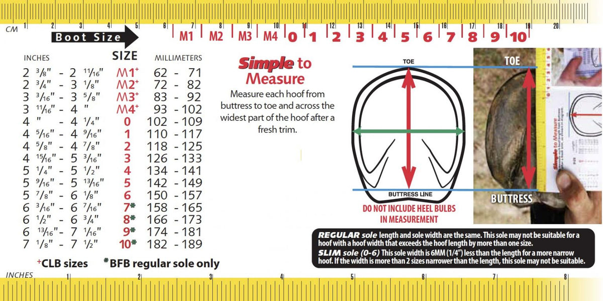 Cavallo Entry Level Hoof Boots (single)