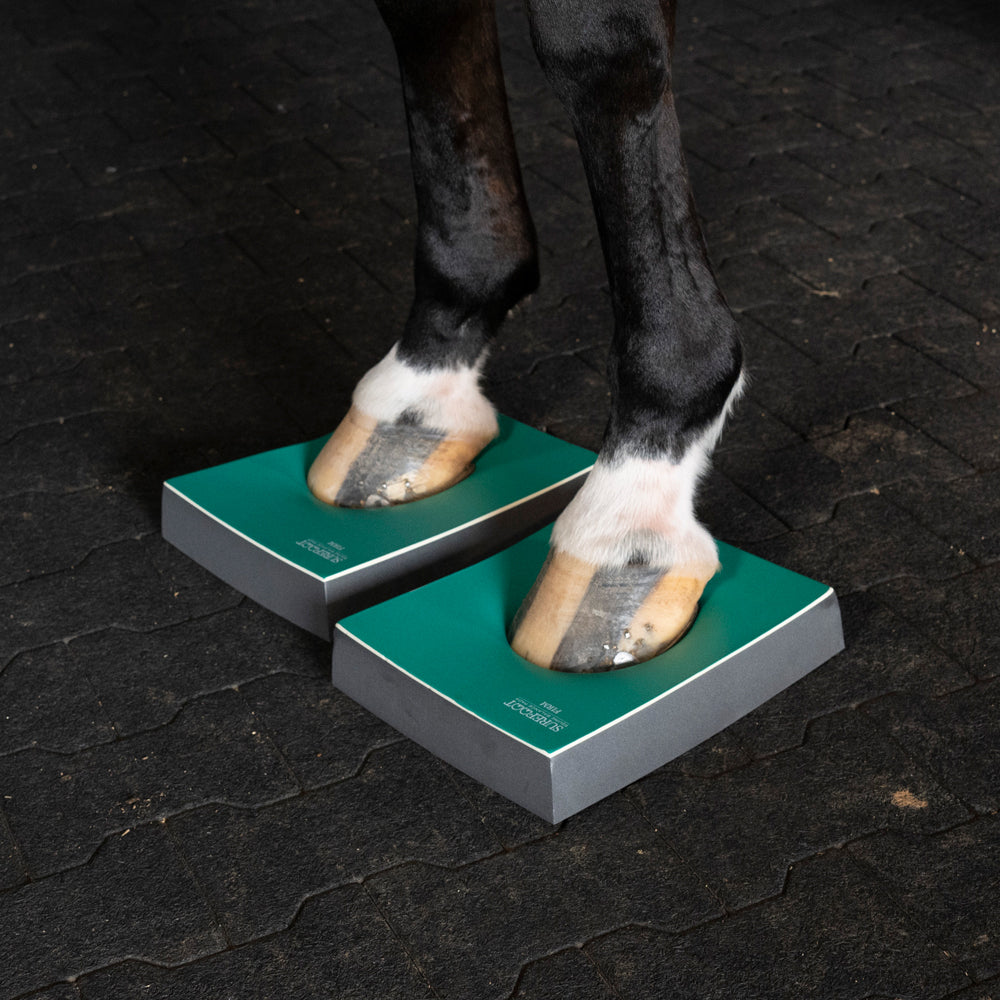 Level 3 - Firm Pads