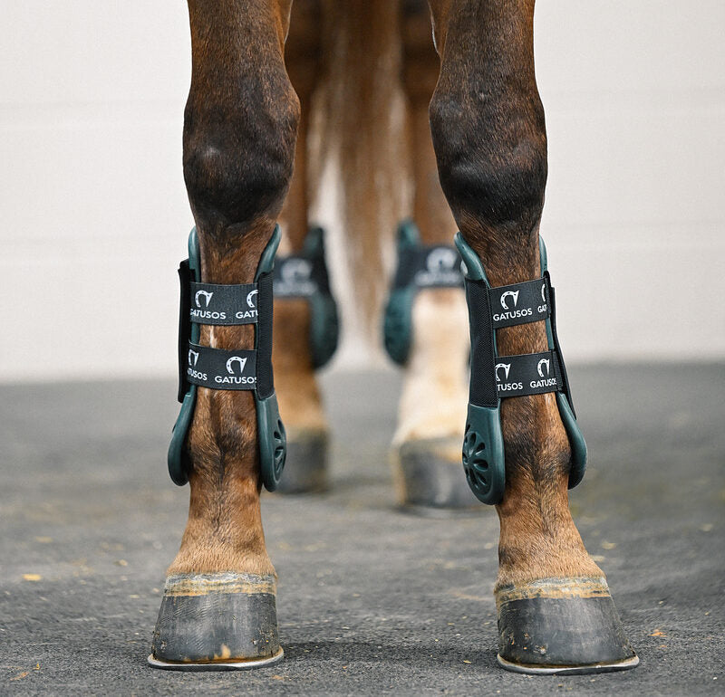 Air Ultralight Front Horse Boot - Gatusos