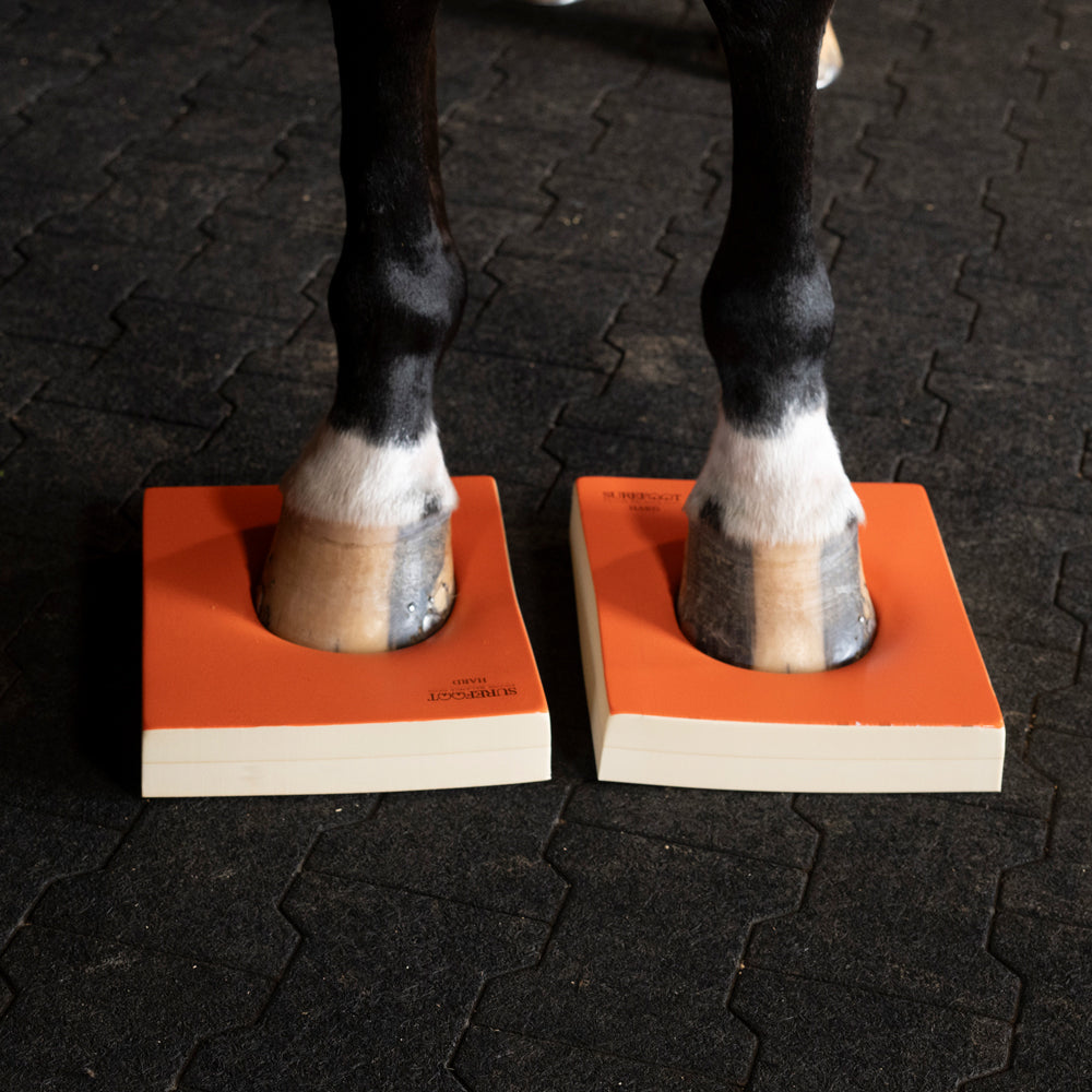 Level 2 - Hard Pads
