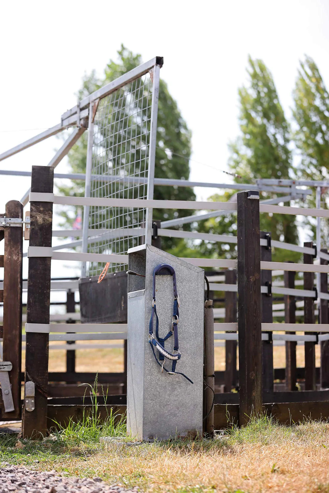 EquiHook - Magnetic Bridle, Halter, Rope Holder