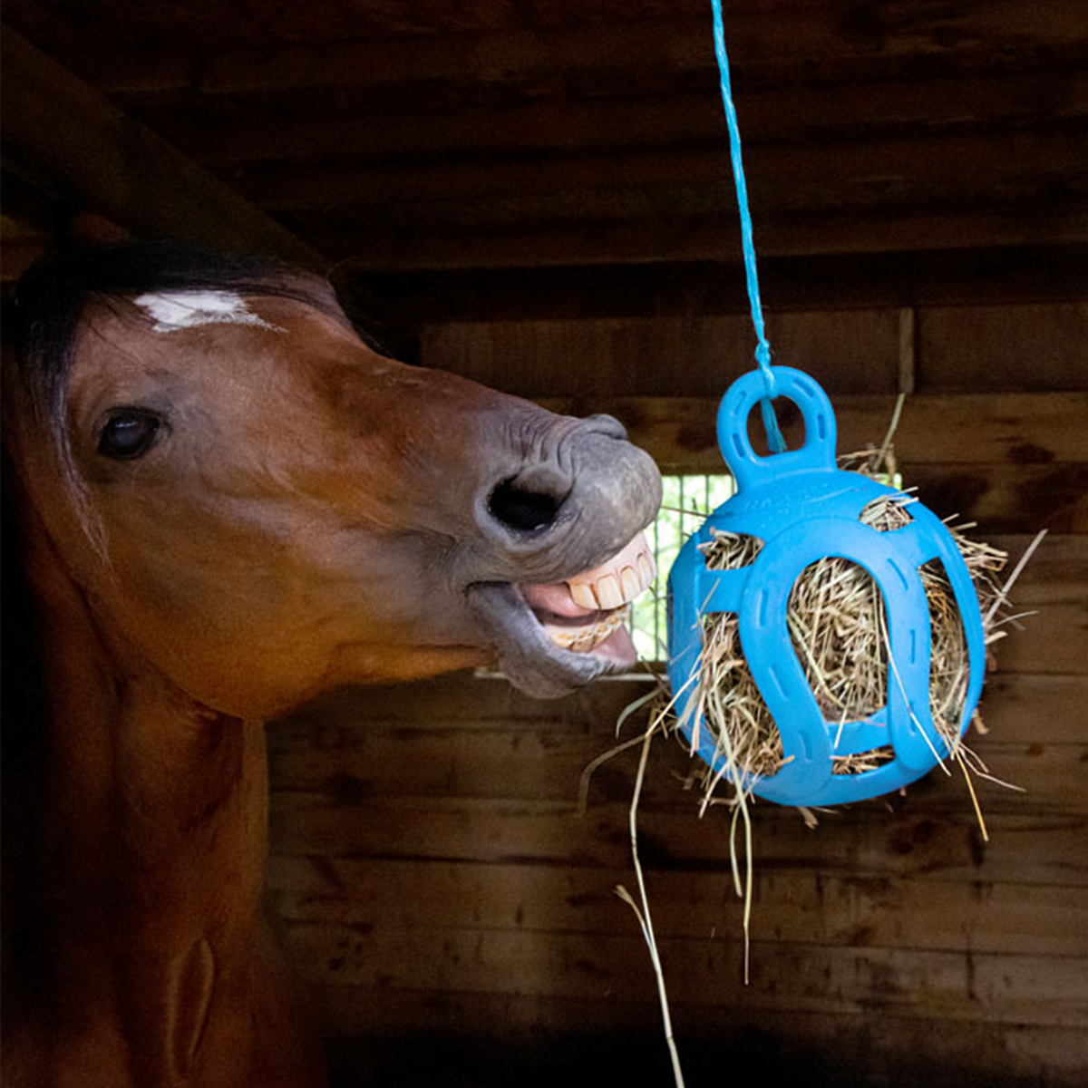 Jolly Hay Ball